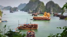 Vịnh Bái Tử Long