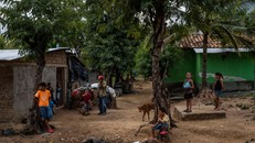 Do cuộc sống khó khăn, mỗi đợt mưa cá trút xuống được xem như lễ hội đối với người dân ở La Union, Honduras. (Nguồn: NYT)