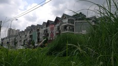 Hà Nội, sẽ không cắt cỏ đại trà mà để kinh phí đầu tư hạ tầng xã hội, phục vụ dân sinh 