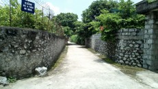 Một góc Trường Xuân