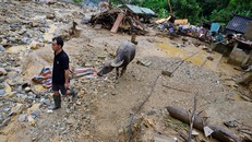 Cảnh tiêu điều ở rốn lũ Mù Cang Chải