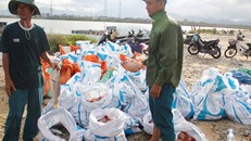 Nông dân trắng tay vì cá sắp tới ngày thu bỗng chết sạch. Ảnh: Thanh Trần