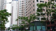 Bộ Xây dựng cắt giảm 51% thủ tục hành chính về xây dựng