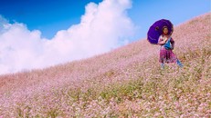 Hà Giang mùa hoa tam giác mạch mê hoặc nhiều du khách