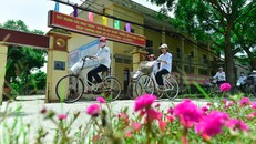 Tại xã Khai Thái, đường hoa mười giờ dài 1 km mới được trồng cách đây 2 tháng nhưng đã nở rộ, làm tô điểm cho vẻ đẹp của con đường qua trung tâm xã