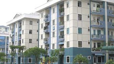 Văn nghệ sĩ khó khăn được Chính phủ hỗ trợ nhà ở 