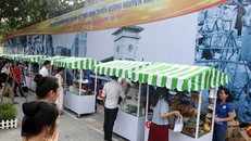Khai trương phố hàng rong đầu tiên ở TP.HCM 