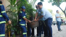 Các anh em lực lượng đô thị quận chỉ nhận lương 2 triệu đồng và không có bảo hiểm xã hội (Ảnh: Thanh Niên)