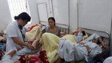 Dịch SXH tuy chững lại tuần qua nhưng vẫn đối mặt với nhiều nguy cơ khi các ổ bọ gây đang tăng trở lại (Ảnh minh họa)