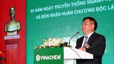 Ông Nguyễn Anh Dũng, Chủ tịch Vinachem