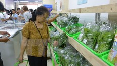 Cư dân chung cư Trung Hòa-Nhân Chính mua hàng tại siêu thị. (Ảnh: Nguyễn Cúc/TTXVN)