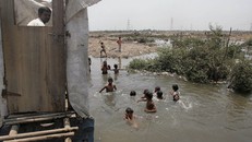 Không nhịn được...