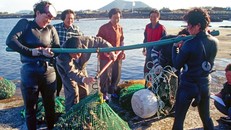 Văn hóa truyền thống được đưa vào chương trình nghị sự của Ủy ban di sản phi vật thể