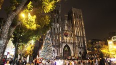 Giáng Sinh cận kề, Hà Nội bừng sáng với nhiều cây thông rực rỡ