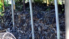 Kho xe vi phạm bị cháy rụi. Ảnh: Thái Hà.