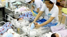 4.268 trẻ được sinh ra trong ngày đầu năm 2018 tại VN