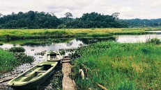 Khám phá đầm lầy nhiều cá sấu nhất Đông Nam Bộ