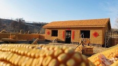 Ngôi nhà 48m2 đẹp như dát vàng xây từ 20 ngàn bắp ngô