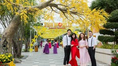 Giới trẻ háo hức chờ đón Lễ hội “Mai vàng sắc xuân” Sun World Danang Wonders
