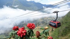 Ngỡ ngàng trước kiệt tác kiến trúc tâm linh trên đỉnh Fansipan