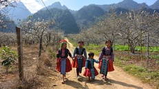 Tiếng khèn gọi Tết về trên bản Mông 