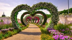 'Check in' vườn hoa lớn nhất giữa sa mạc