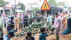 Lực lượng bộ đội, công an, dân quân cùng người dân hỗ trợ chủ hàng xếp dưa