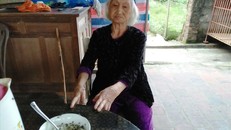 Bà Nguyễn Thị Bình (88 tuổi, ở thôn Thạch Thành, xã Tùng Ảnh) rơm rớm nước mắt: “Ngày xưa đói khổ, cơm không có ăn, bây giờ cơm gạo không thiếu, nhưng bưng bát cơm lên chưa kịp ăn ruồi đã bay đến tấn công. Bát cơm trở thành bát ruồi, không dám ăn nữa”.