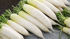 Được ví như ‘nhân sâm trắng’ chỉ 3 - 5 nghìn đồng/kg ở Hà Nội nhưng cực tốt