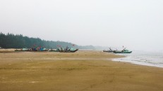 Từ khoảng 4h đến 6h sáng, hàng ngày có hàng chục thuyền nhỏ của ngư dân khai thác sứa biển trở về