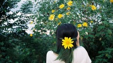 Ngắm hoa giúp cải thiện sức khỏe và tâm trạng