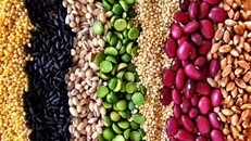 10 loại thực phẩm cực tốt cho người đau dạ dày