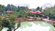 Hàng chục công trình trái phép được xây dựng trên đất trồng rừng