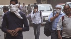 Bão cát kinh hoàng 'nuốt chửng' Tây Bắc Ấn Độ, hơn 80 người thiệt mạng