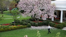 Những khu vườn bí mật trong khuôn viên Nhà Trắng