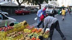 Lao động tự do & rủi ro