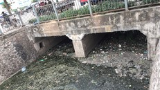 Trời nắng nóng, mương rác lộ thiên ở Yên Hòa ‘làm khổ’ người dân 