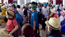 Hơn 2.300 du khách bị kẹt ở huyện đảo Lý Sơn do áp thấp nhiệt đới. Ảnh: M.Hoàng.