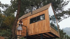 Trải nghiệm ngủ nhà gỗ giữa rừng thông cách Hà Nội nửa giờ chạy xe