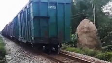 Sau 20 phút, ngành đường sắt khắc phục xong, tàu hàng tiếp tục hành trình