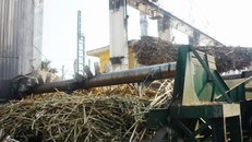 Xả thải vượt chuẩn 8.000 lần, công ty đường bị phạt gần 2 tỷ