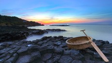 Về nơi có hoa vàng trên cỏ xanh