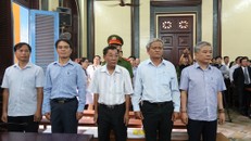 Các bị cáo tại tòa