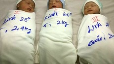 Ba em bé chào đời kháu khỉnh. Ảnh: Phú Tân