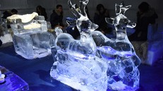 Quán cà phê băng âm 10 độ C đầu tiên tại Hà Nội