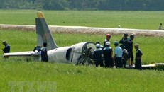 Ảnh minh họa. Xuân Triệu/TTXVN