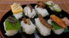 Hãy cố ăn 10 thực phẩm ‘khó nhằn’ này để được trường thọ