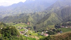 Mùa thu về, lên ngay Fansipan ngắm ruộng bậc thang đã nức thơm hương lúa