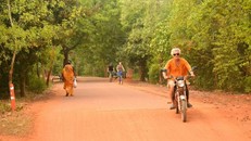 Du khách thích thú với cảnh bình yên trên con đường làng