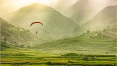 Lên lịch ghé mùa vàng Mù Cang Chải và trải nghiệm Festival dù lượn 2018